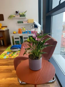 Uzm. Dr. İrem Oral kliniğinde ebeveynler için konforlu bekleme alanı – sehpa üzeri dekoratif bitki ve arka planda çocuk oyun köşesi
